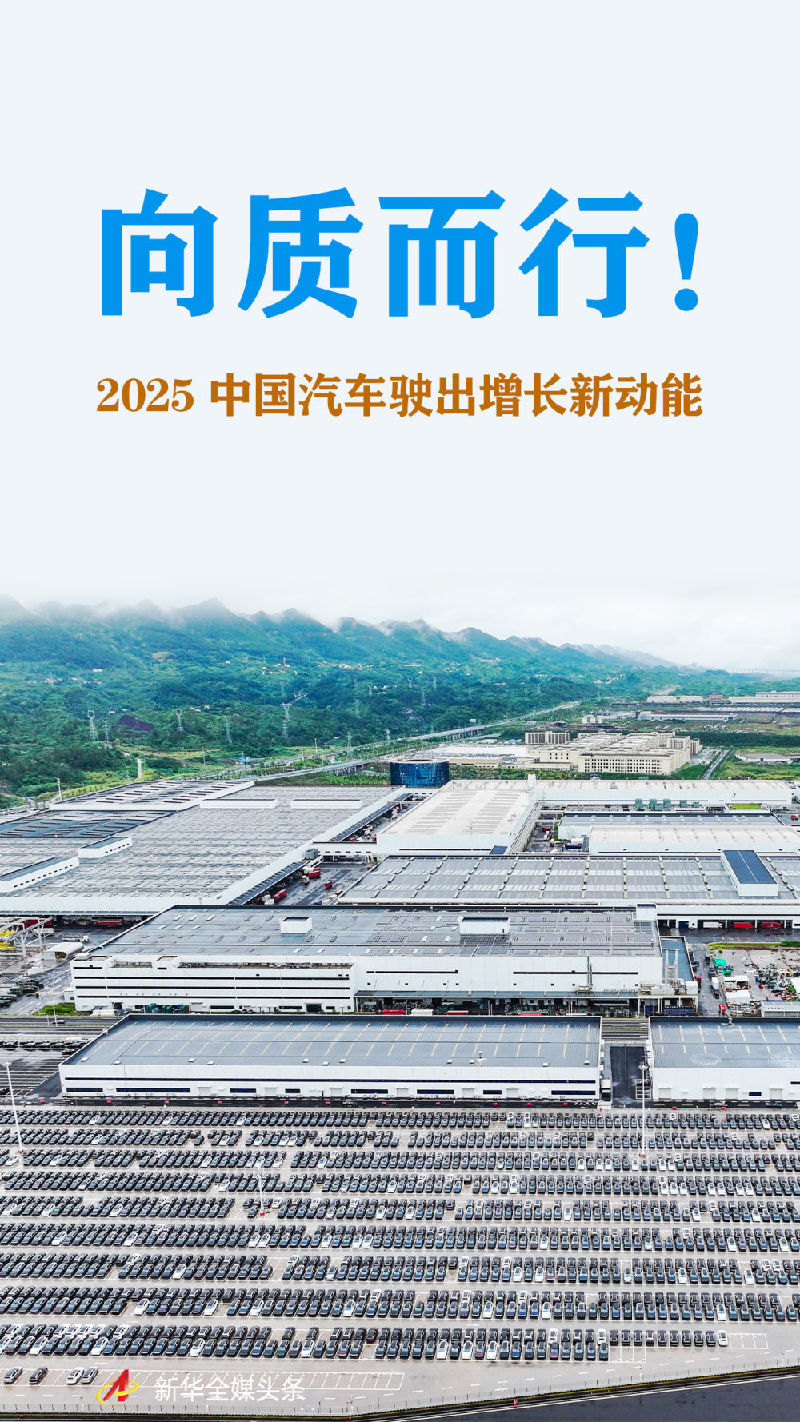 向质而行！2025中国汽车驶出增长新动能