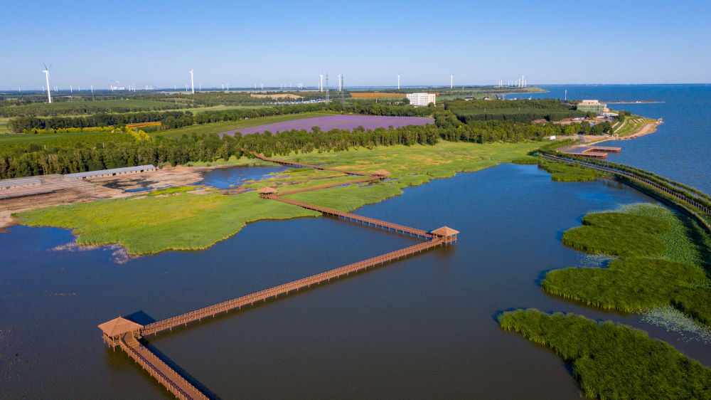 镜观·回响｜生态美，旅游兴——查干湖的绿色交响