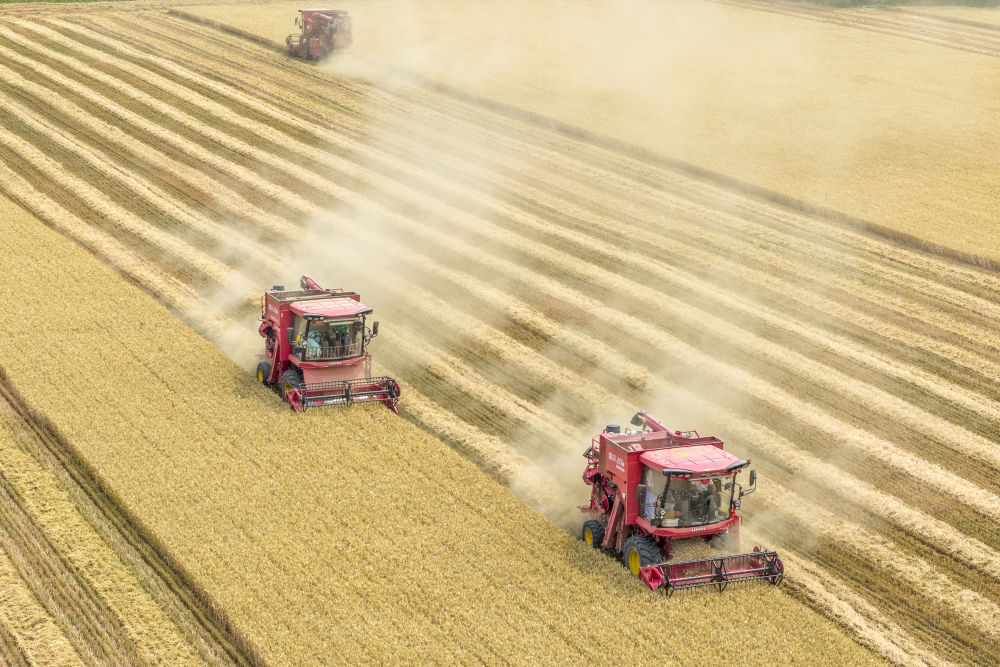 四个关键词读懂2025年中国经济“年报”