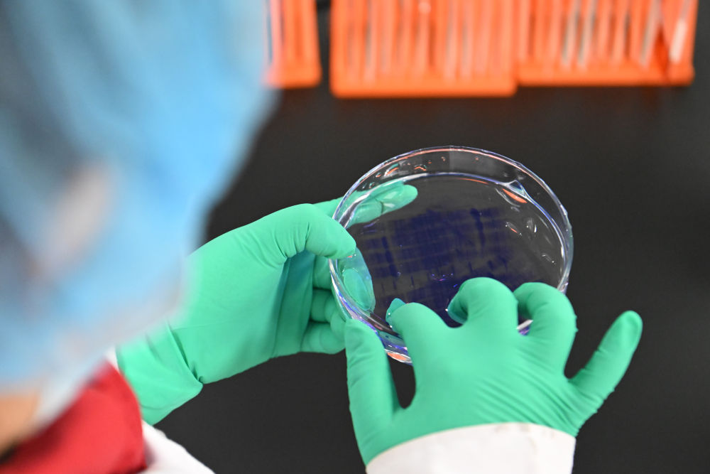 四个关键词读懂2025年中国经济“年报”