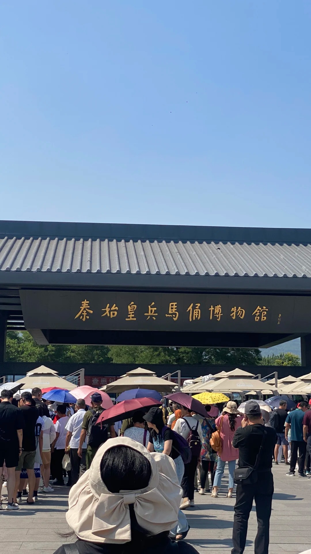 台湾小伙看兵马俑血脉觉醒,网友:这就是我们中国