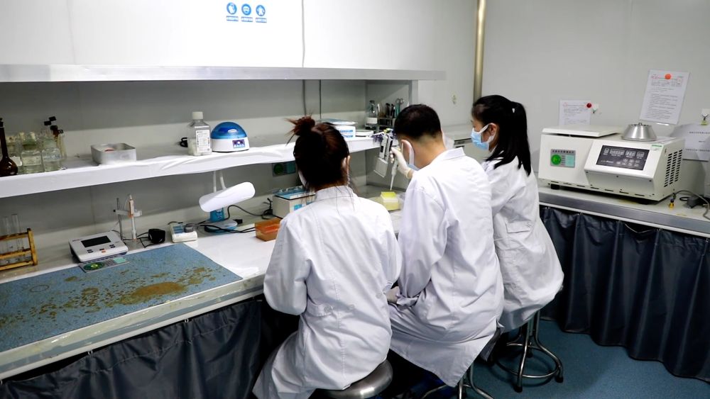 科创“新”力量:新发展理念引领下的中国智造 科创“新”力量:新发展理念引领下的中国智造