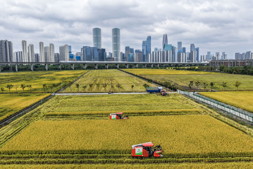 达沃斯论坛：中国为世界提供“机遇清单”