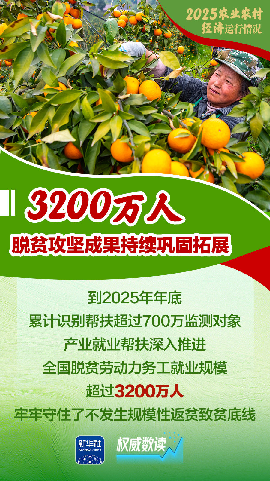 增产、增收、增强！2025农业农村经济运行“成绩单”来了！