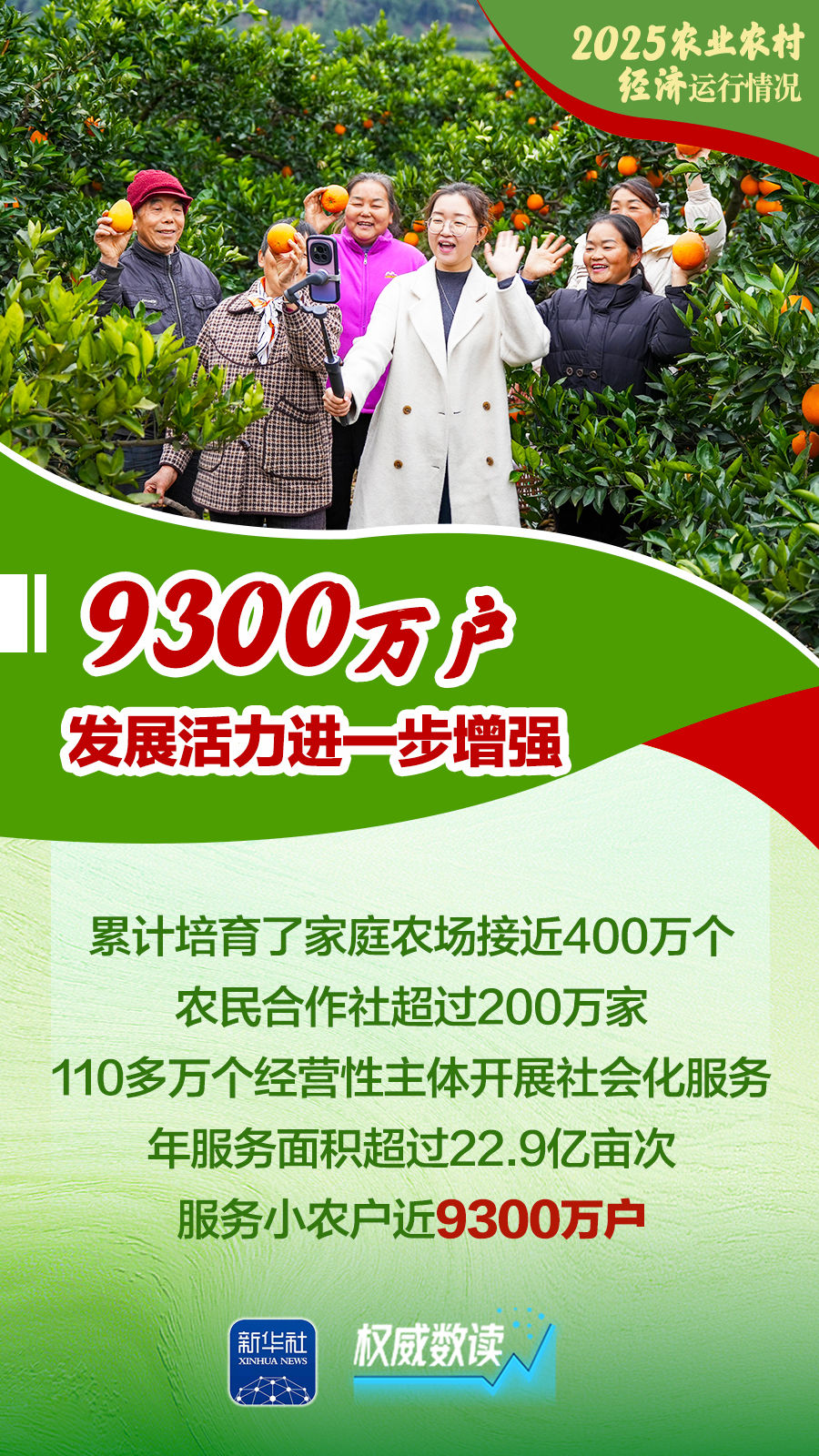 增产、增收、增强！2025农业农村经济运行“成绩单”来了！