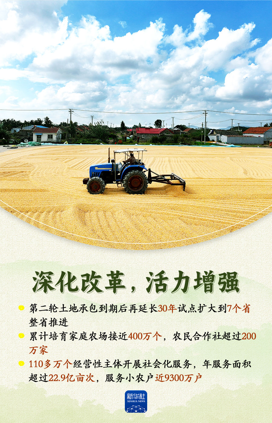 “农”墨重彩！2025年乡村振兴绘就壮美画卷