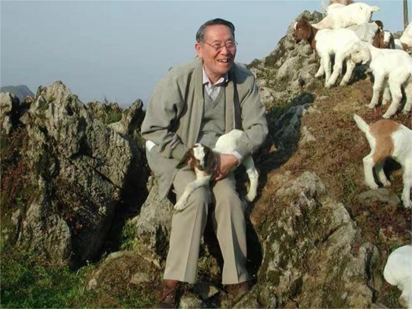 【“十五五”我所思·我所盼】任继周：盼农业结构改革持续提速