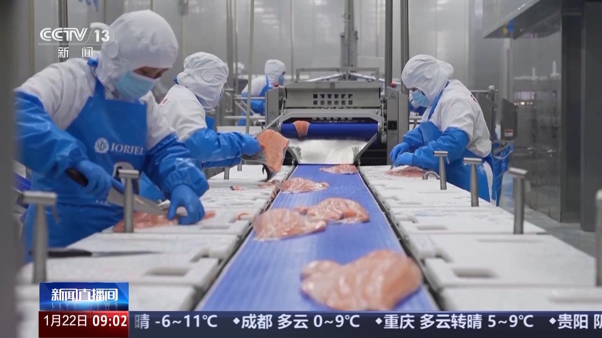 “十五五”开好局起好步丨“空中高速”快速送达 三文鱼48小时通达多地 “十五五”开好局起好步丨“空中高速”快速送达 三文鱼48小时通达多地