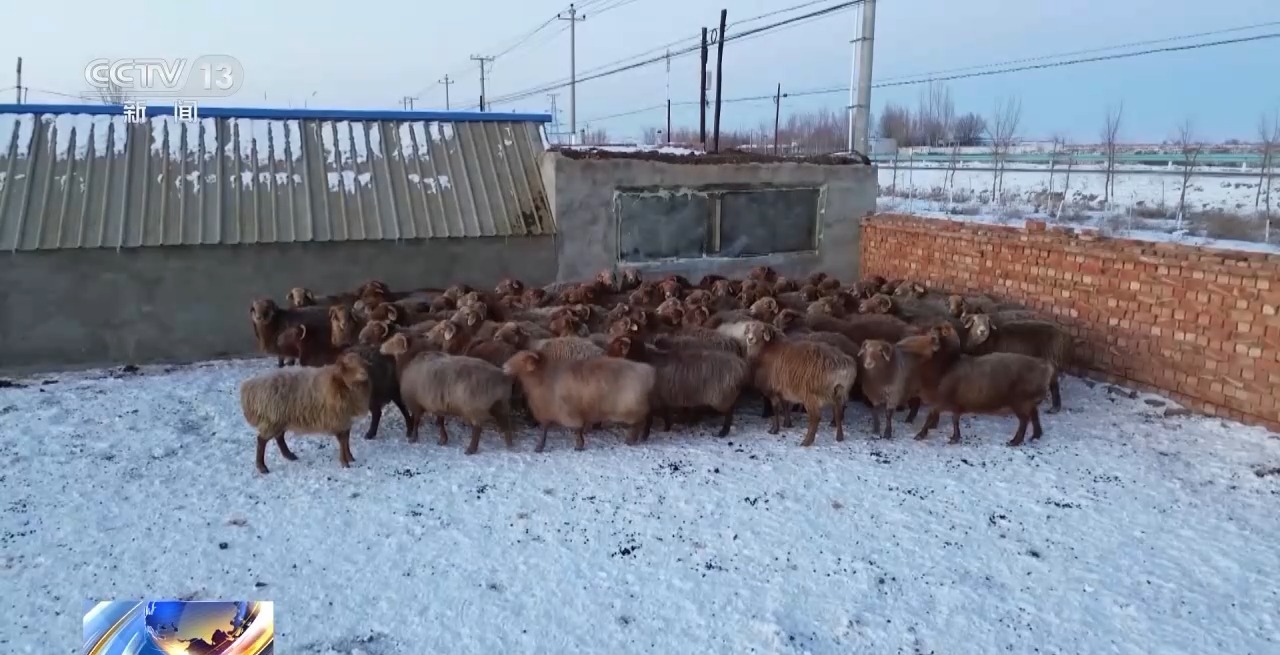 暖心举措抵御严寒 各地织密困难群体过冬保障网