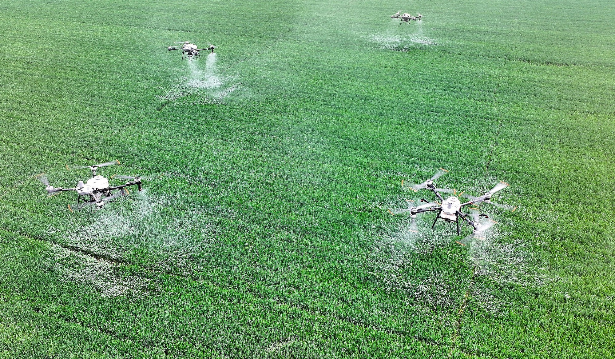 “十五五”开局!新质生产力赋能 中国农业现代化“智慧大升级”