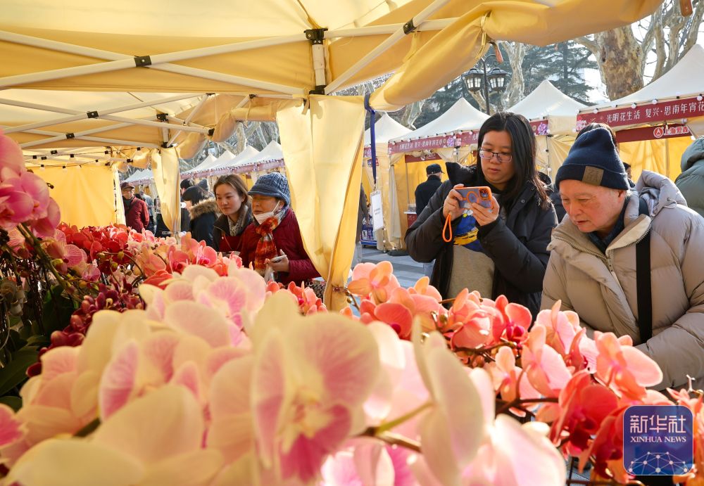 年味渐浓迎新春