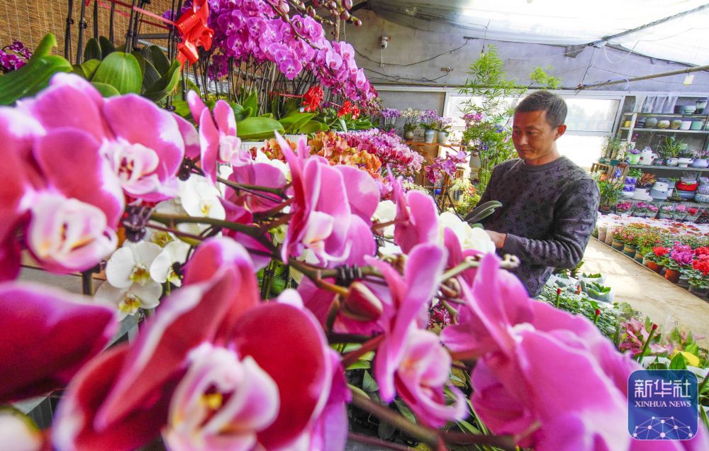 年味渐浓迎新春