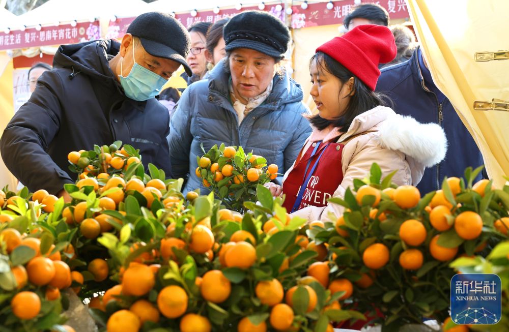 年味渐浓迎新春