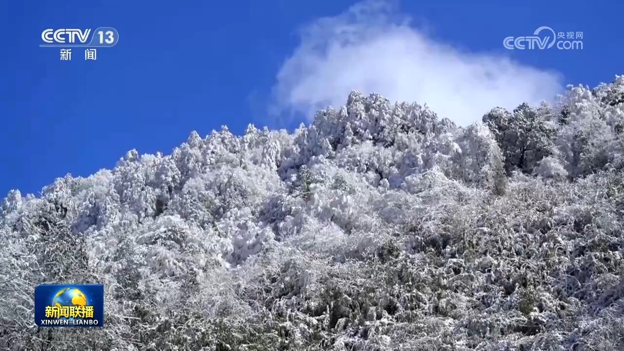 我国新型自然保护地体系初步建成