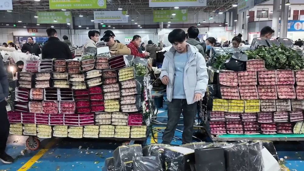 开年看消费 活力在中国奔涌