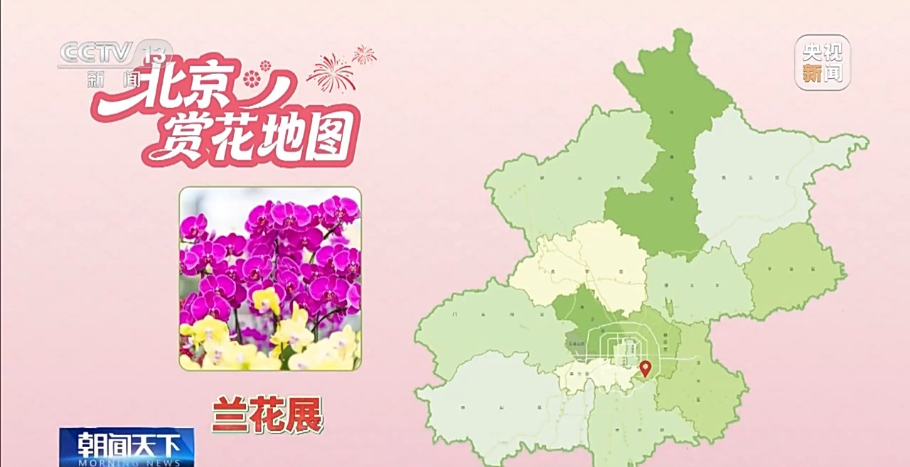 视频丨精准控制温度光照 看科技如何给年宵花“调生物钟”