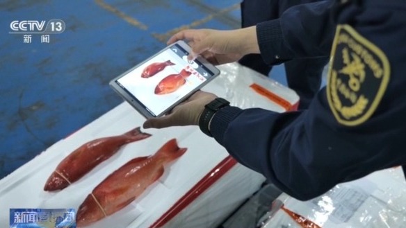 年货“涌进来”,中国味“走出去” 解锁春节消费的双向活力