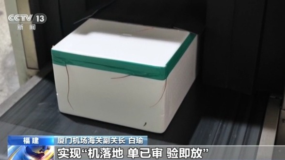 年货“涌进来”,中国味“走出去” 解锁春节消费的双向活力