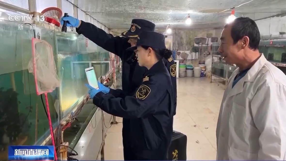 年货“涌进来”,中国味“走出去” 解锁春节消费的双向活力