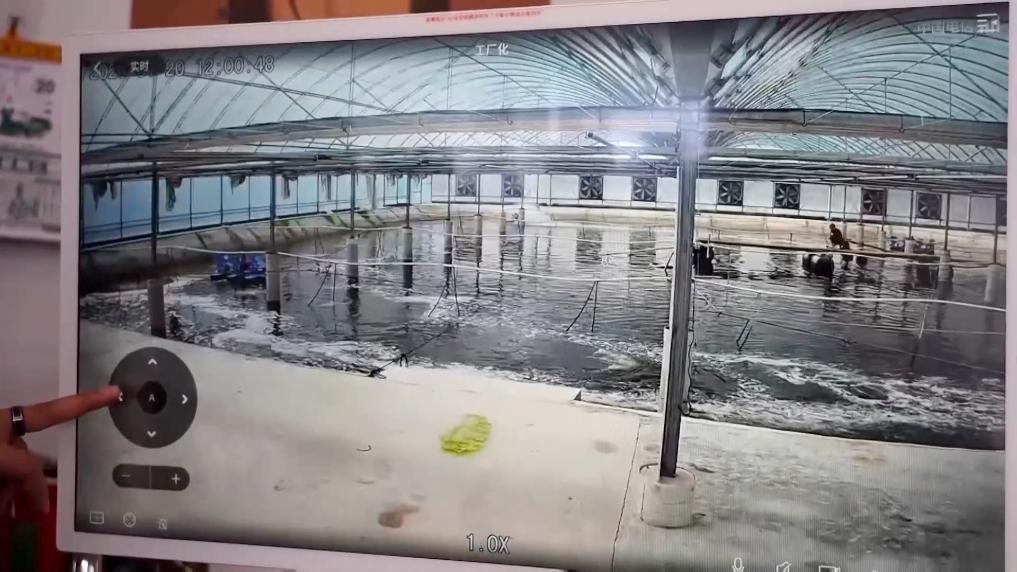 新华视点丨乡村振兴中的青春力量