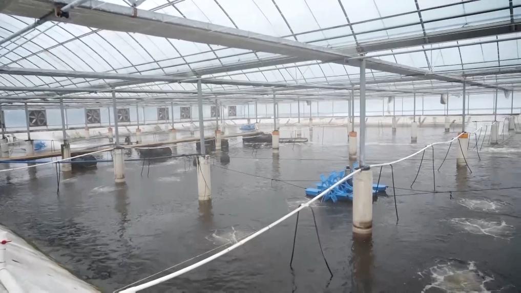 新华视点丨乡村振兴中的青春力量