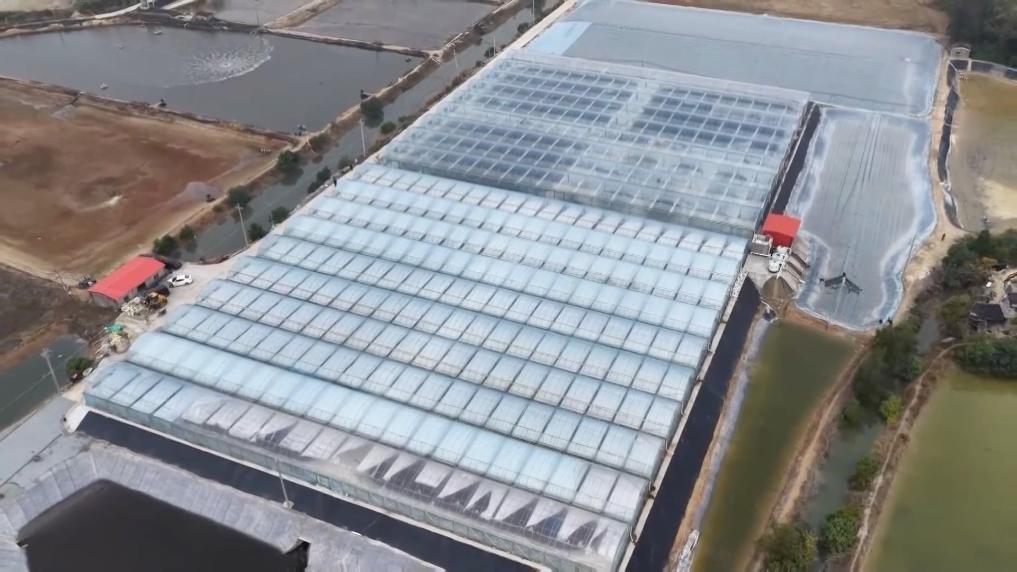 新华视点丨乡村振兴中的青春力量