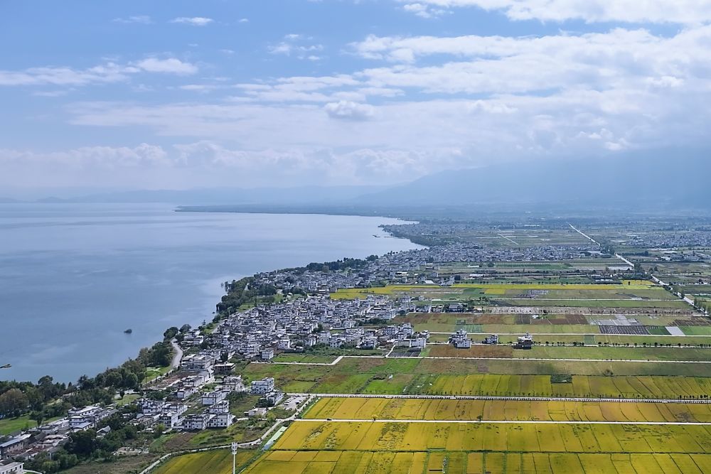 习近平总书记关切事｜幸福花开新农家