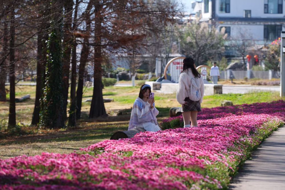 习近平总书记关切事|幸福花开新农家 习近平总书记关切事|幸福花开新农家