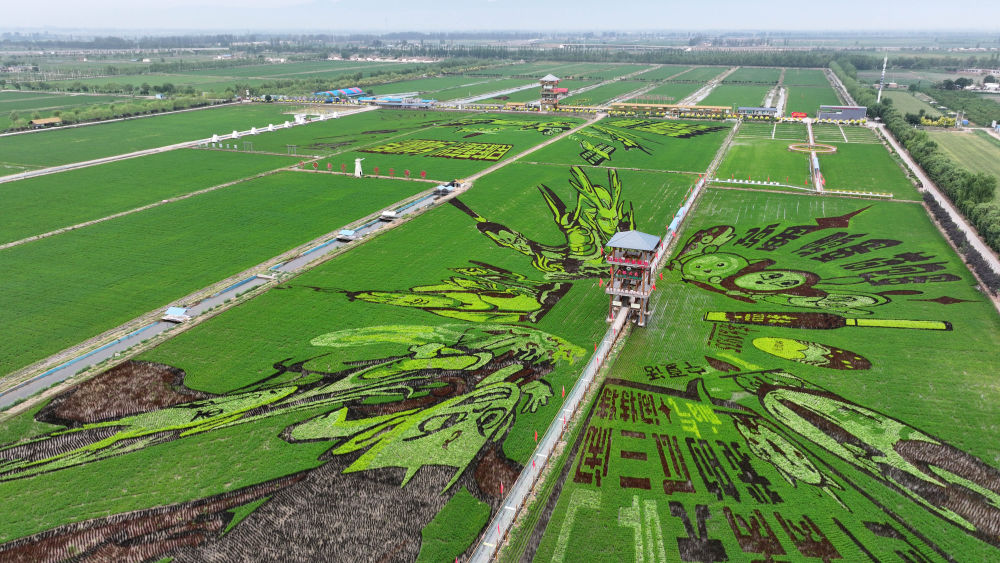 习近平总书记关切事|幸福花开新农家 习近平总书记关切事|幸福花开新农家