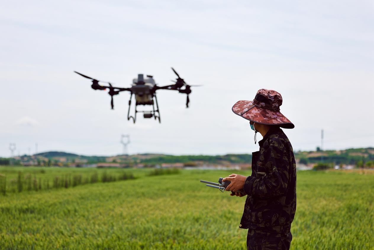 中国经济信心说丨奔向中国式现代化,“三农”这篇文章大有前景