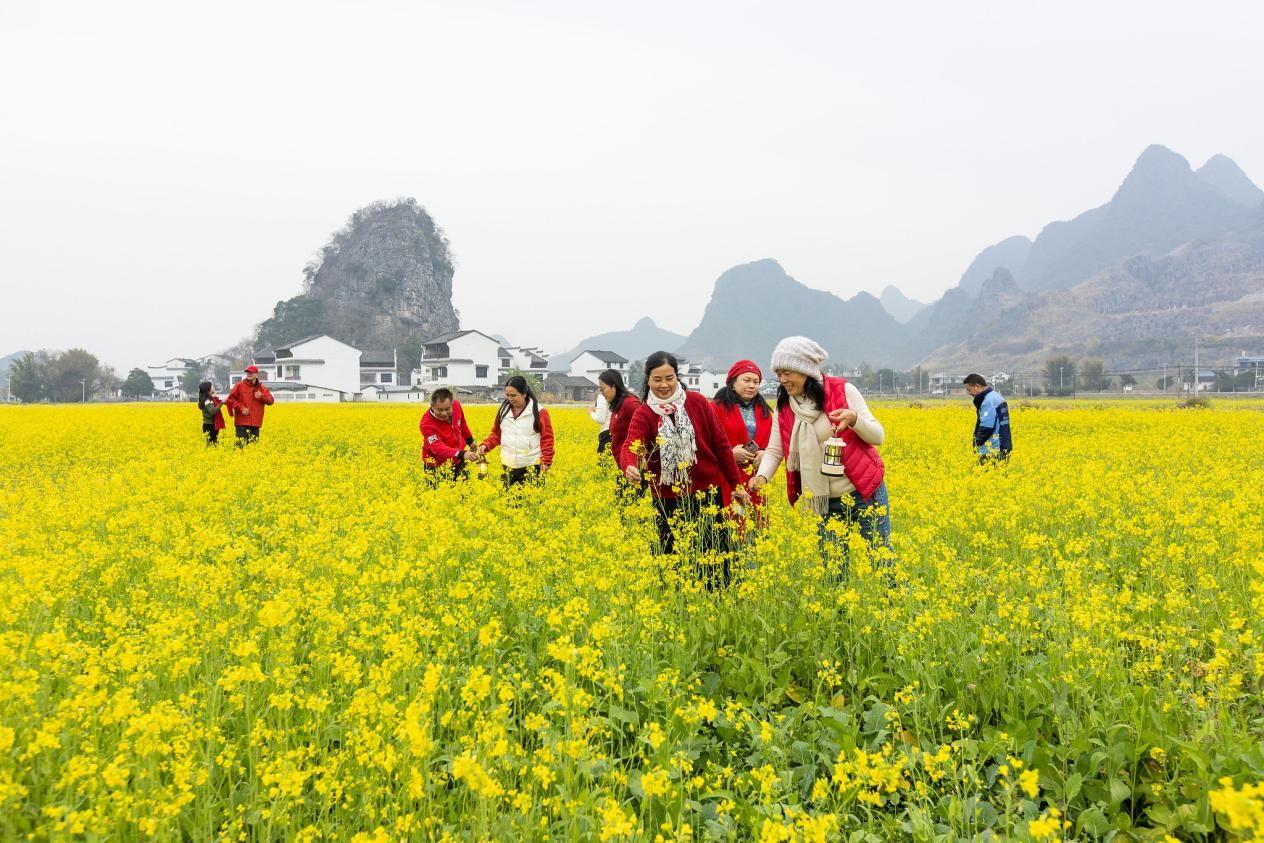 中国经济信心说丨奔向中国式现代化,“三农”这篇文章大有前景