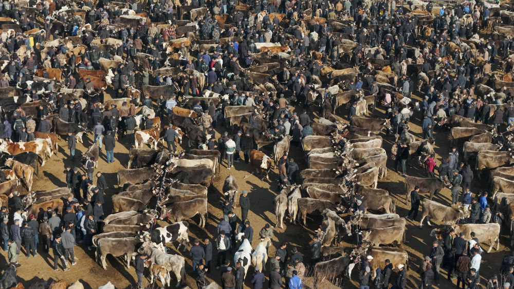 赶大集｜在新疆巴扎，看他们“拍手议价”