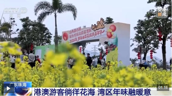视频丨赏花采摘、主题市集 港澳游客打卡湾区千亩油菜花田