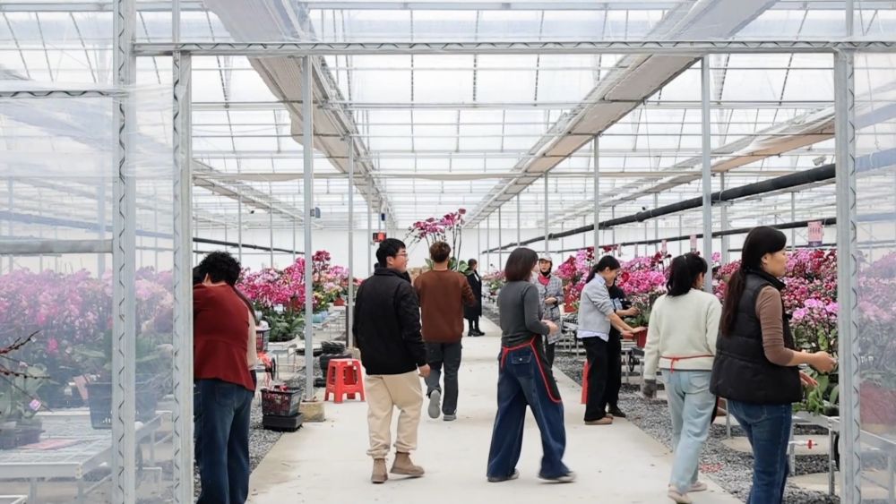 年味渐浓 新春的幸福与活力涌动