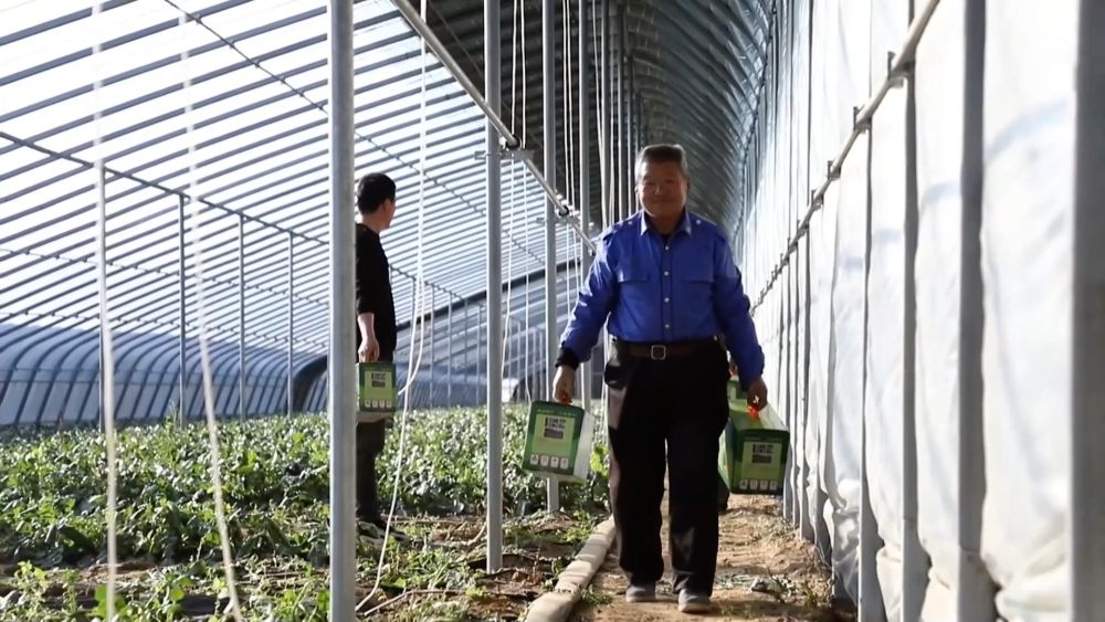 年味渐浓 新春的幸福与活力涌动