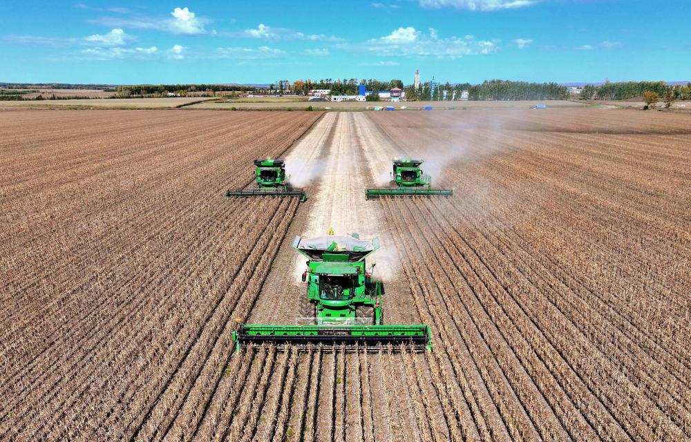 不断增强高质量发展的确定性——从地方两会看开局之年谋篇布局