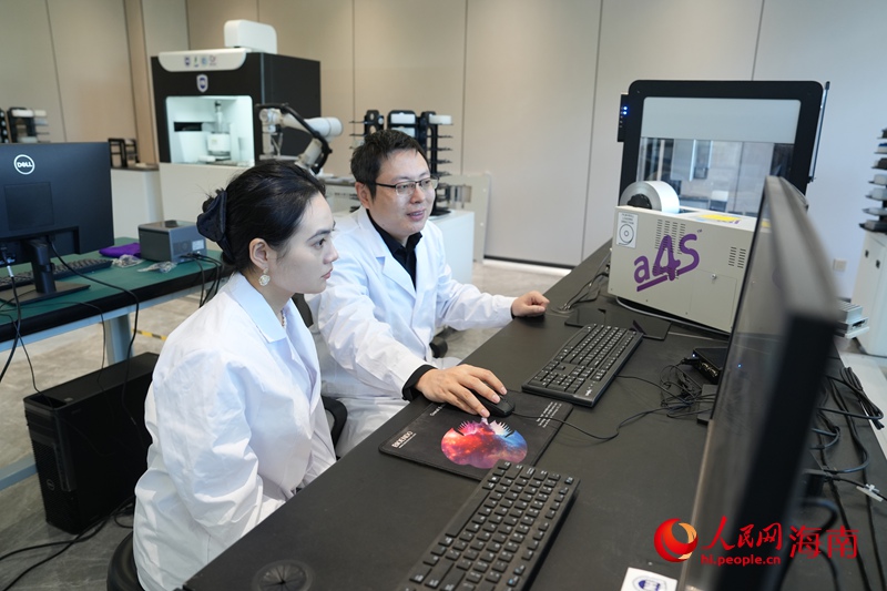 新春走基层|三天VS五小时 博士PK“博士” 海南大学三亚南繁研究院副院长夏志强在工作。人民网记者 符武平摄