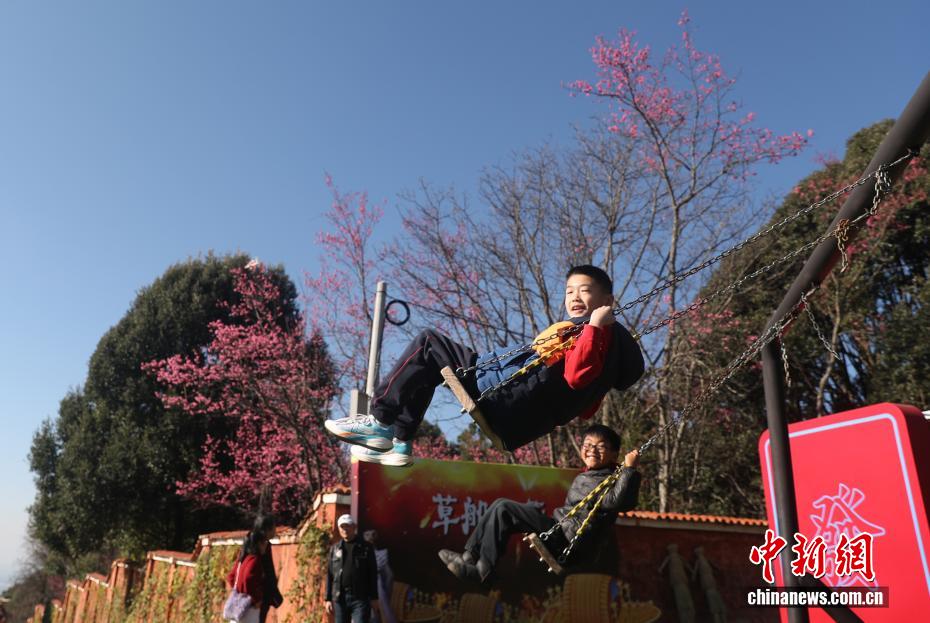 云南永仁方山百花争艳游人如织 云南永仁方山百花争艳游人如织