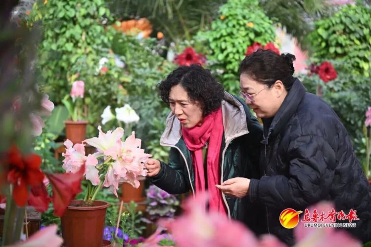 过年人潮已刷屏！新疆各地新年活动扎堆 满城都是人人人