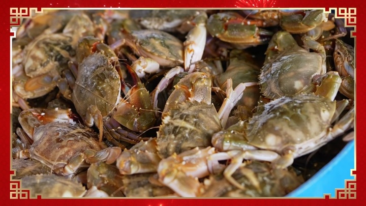 热气腾腾的中国年|“码”上知鲜!来看科技感满满的海鲜盛宴 热气腾腾的中国年|“码”上知鲜!来看科技感满满的海鲜盛宴