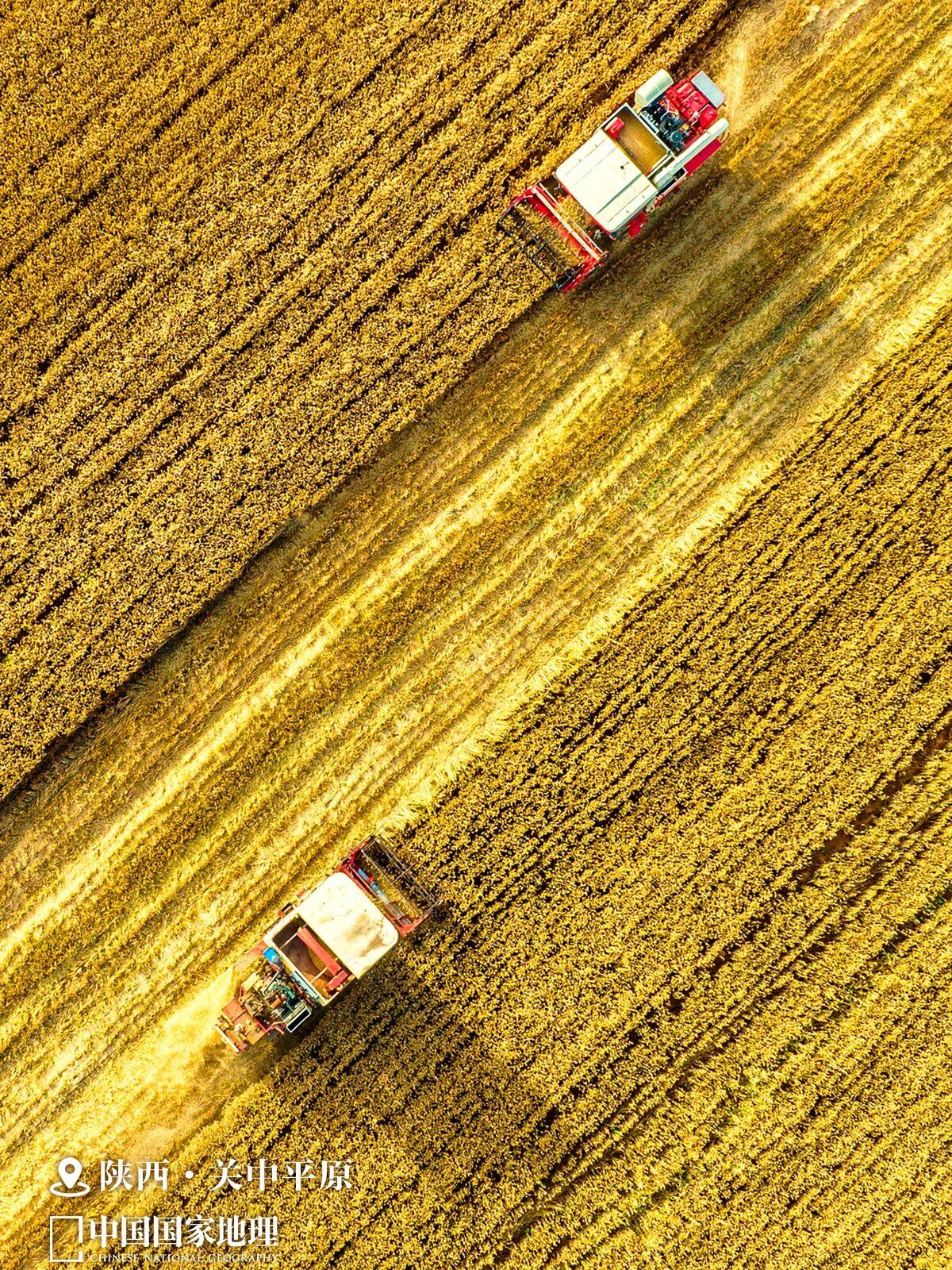 丰饶的中国,看“最富饶”的风景!
