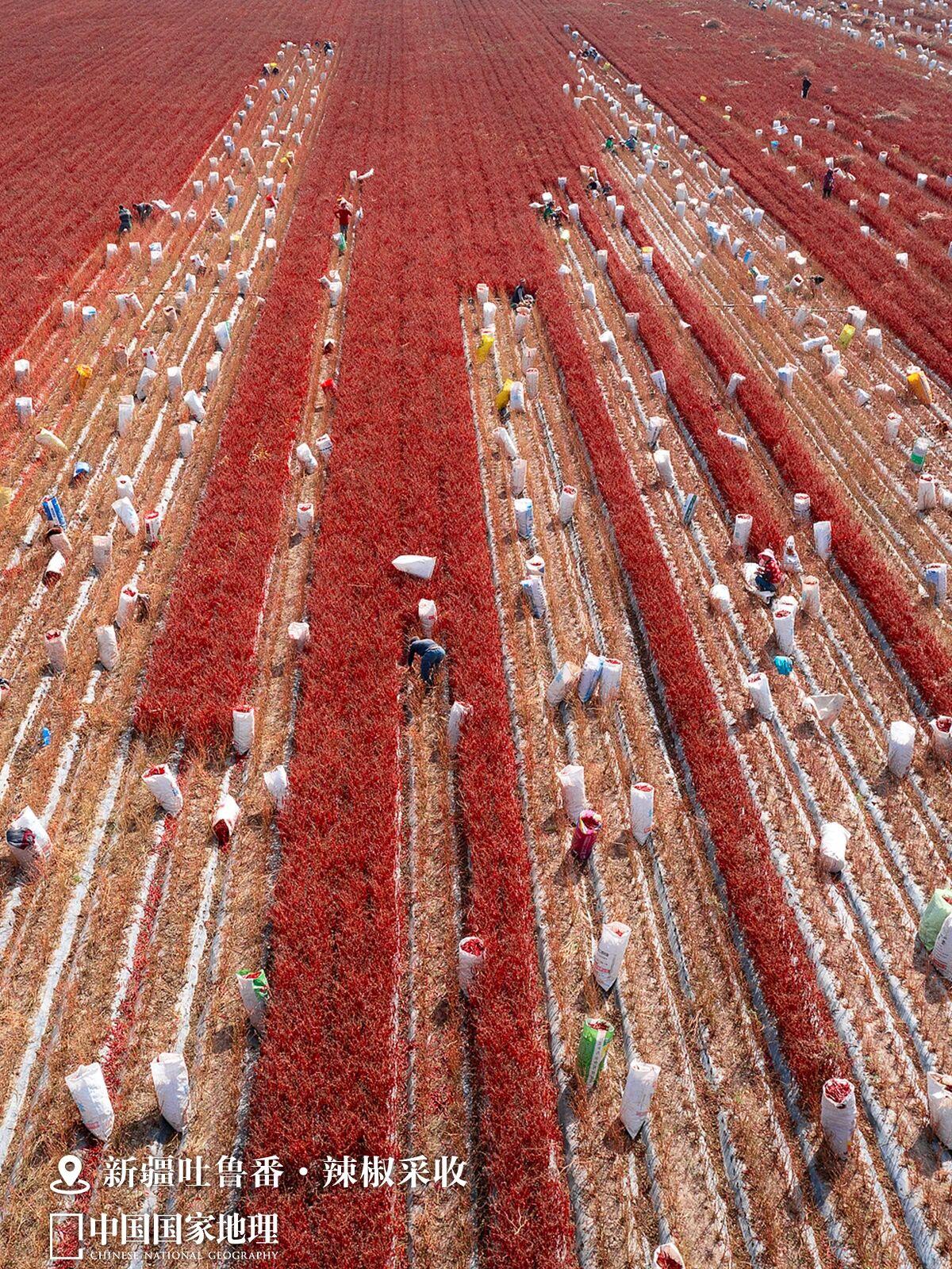 丰饶的中国,看“最富饶”的风景!
