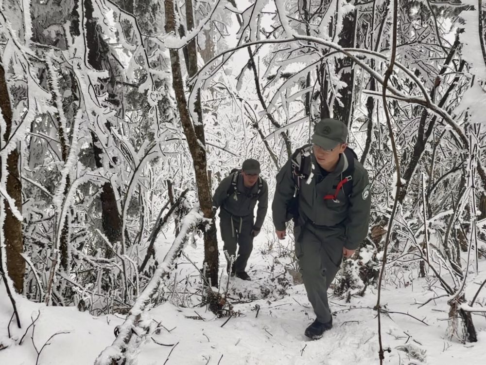 新春走基层·记者体验360行|我当野生动物监测员 新春走基层·记者体验360行|我当野生动物监测员