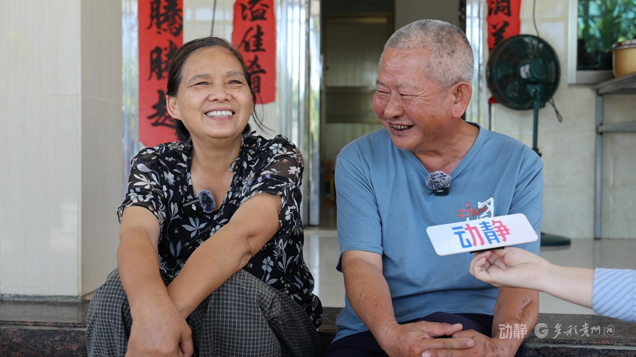 新春走基层丨“借”个夏天种辣椒——贵州辣椒育种团队的南繁故事