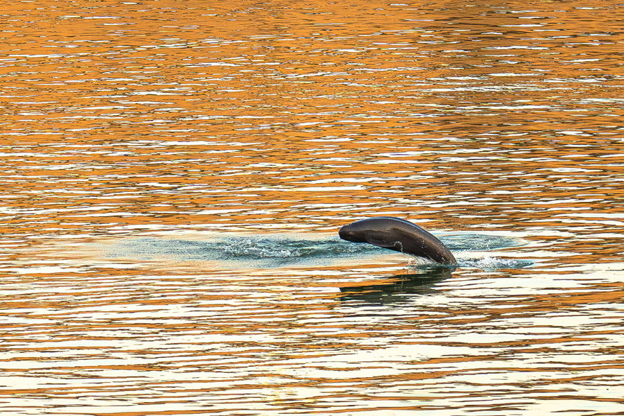 学习进行时｜习近平总书记引导树立和践行正确政绩观的故事