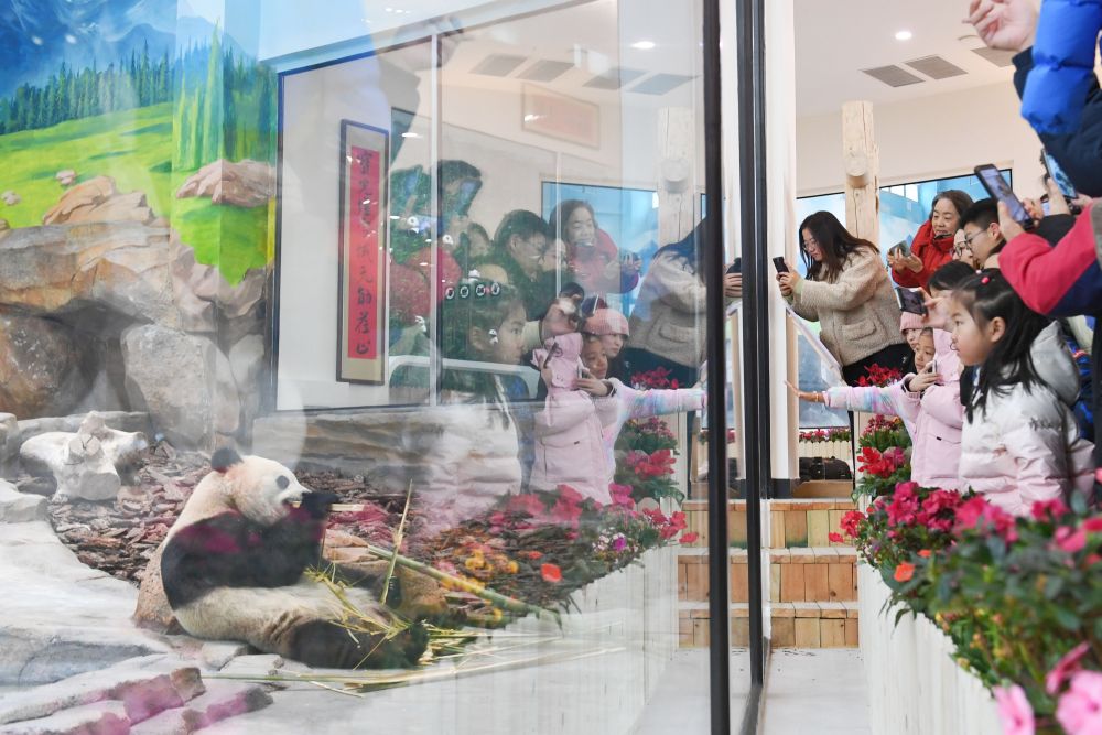 科技赋能文化 冰雪魅力升温——春节假期新疆文旅气象新