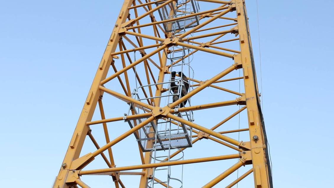 【新春走基层】“搭积木”闯三大难关 4650米“生命禁区”绽放“太阳花”