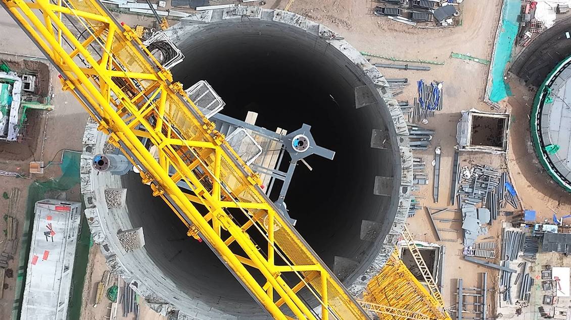 【新春走基层】“搭积木”闯三大难关 4650米“生命禁区”绽放“太阳花”