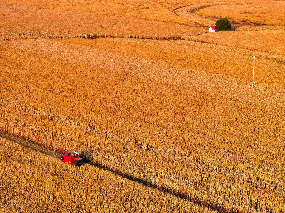 镜观中国｜影像回眸“十四五”——经济增长 稳健前行