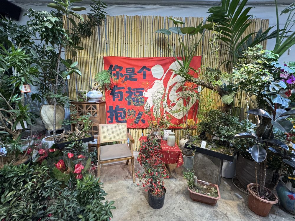 财经聚焦｜年宵花热销，鲜花消费何以“一路芬芳”